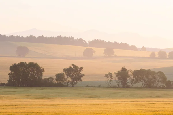 Turiec地域 スロバキアの夏の農村風景 — ストック写真