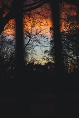 Arjantin 'de şafak vakti pencereden içeri girdi.