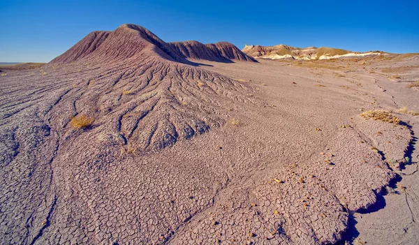 Una Larga Formación Arcilla Bentonita Púrpura Parque Nacional Bosque Petrificado — Foto de Stock