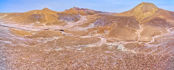 Group Purple Hills West Purple Peninsula Petrified Forest National Park — ストック写真