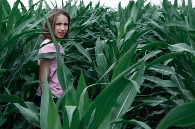 young girl standing in the middle of the cornfield