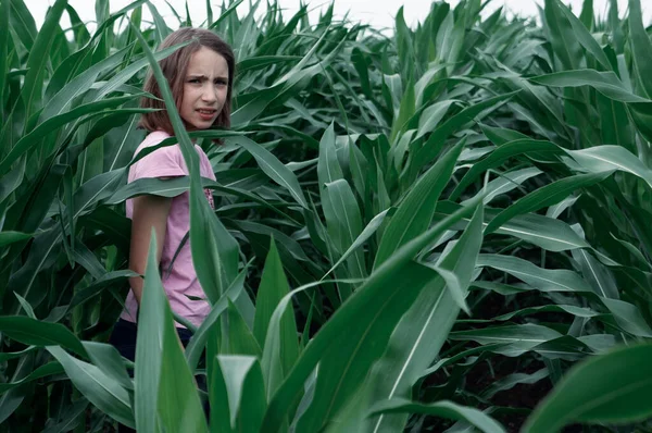 young girl standing in the middle of the cornfield