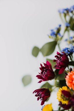 Beyaz arka planda taze çiçekleri kapat