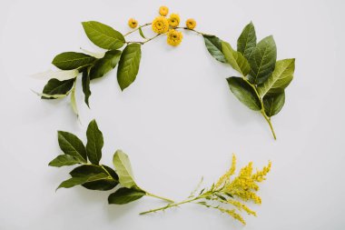 Yeşil yaprakların ve sarı çiçeklerin yukarıdan görünüşü beyaz üzerinde daire şeklinde.