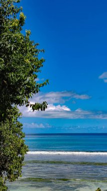 Skyline, bulutlar ve sakin okyanus, solda yeşil ağaç, kopyalanmış uzay