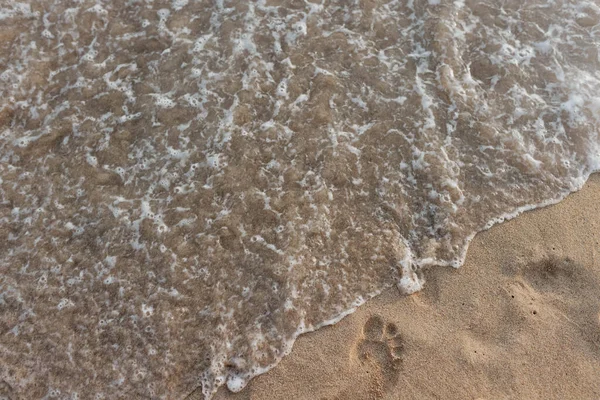 Agua Espumosa Del Océano Elimina Las Huellas Playa Arena — Foto de Stock