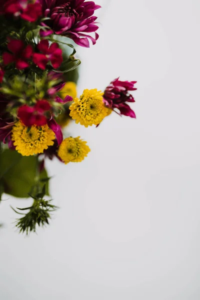 白地に新鮮な花を閉じます — ストック写真