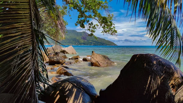 Feuilles Palmier Rochers Vue Sur Océan Seychelles Orientation Horizontale — Photo