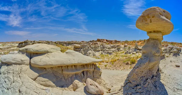 Campo Hoodoos Goblin Garden Las Copas Planas Del Parque Nacional —  Fotos de Stock