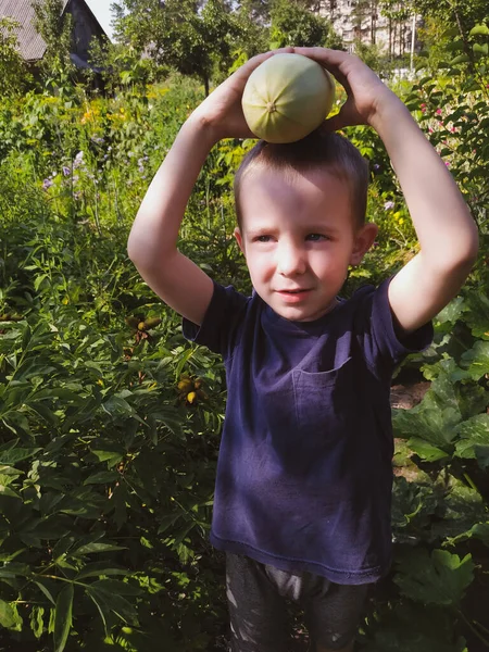 Boy Holding Vegetable Marrow Hands His Head Garden — Stock Photo, Image