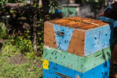 Açık kovan etrafında uçan bir sürü arı var.