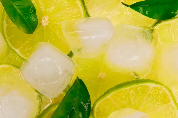 Lime slices with ice and leaves summer