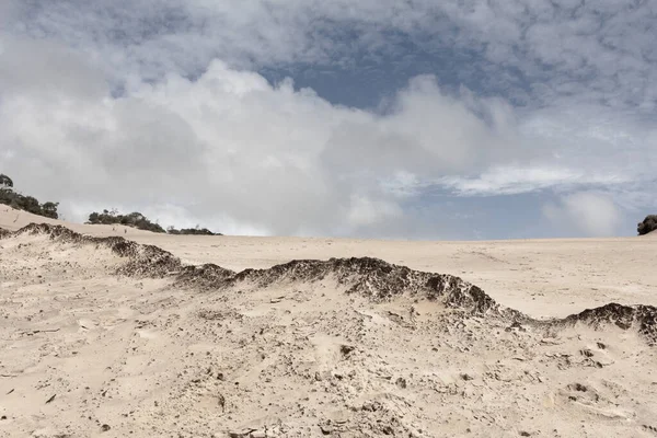 Sand Dunes Ocean Open Sky — Stock Photo, Image