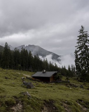 Bulutlu bir ormanda dağ kulübesi