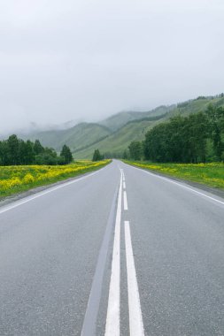 Altai cumhuriyetindeki sisli dağ yolu, Sibirya, Rusya. Yol gezme kavramı. 