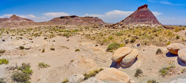 紫色のベントナイトのドーム型の丘 ペトリファイドフォレスト国立公園アリゾナ州の岩のフラットトップ — ストック写真