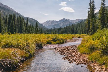 Marten Creek in the Hunter-Fryingpan Wilderness, Colorado clipart