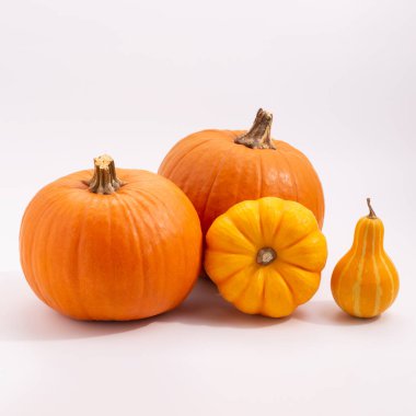 Beyaz arkaplanda çeşitli balkabakları