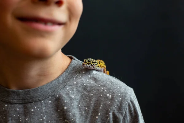 Gecko Leopardo Sentado Ombro Menino Como Ele Sorri — Fotografia de Stock