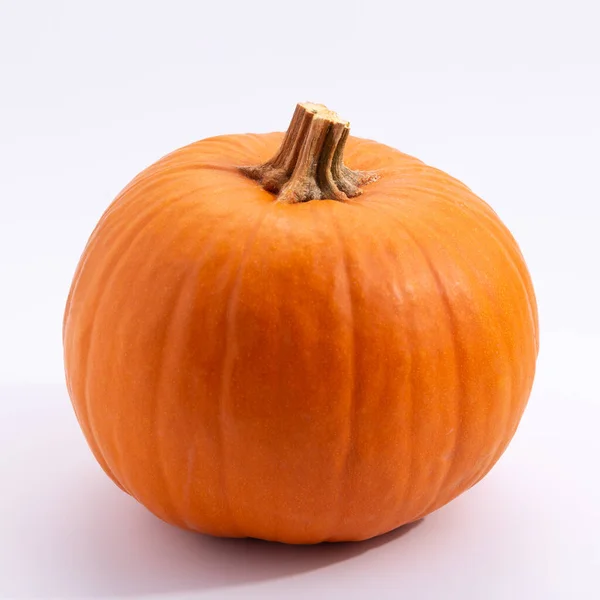 Halloowen Pumpkin White Background — 스톡 사진