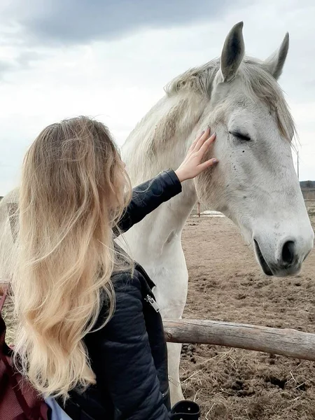 納屋に立っている間に馬を撫で若い女性 — ストック写真
