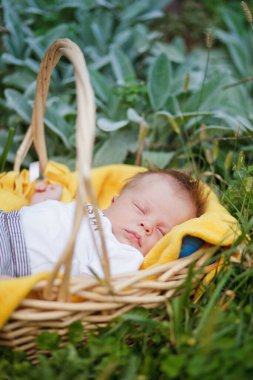 newborn sleeps in a basket on the grass with a yellow blanket vertical