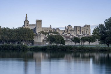 Avignon 'daki Palais des Papes ve ön planda Rhone Nehri.