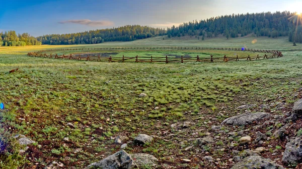 Jezioro Żurawia Kaibab Forest Arizona — Zdjęcie stockowe