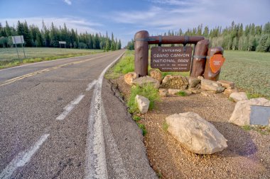 Arizona Kaibab Ormanı 'ndaki Geyik Gölü