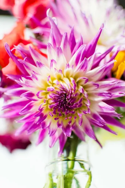Garden Flower Arrangement Including Dahlias Snapdragons — Stock Photo, Image