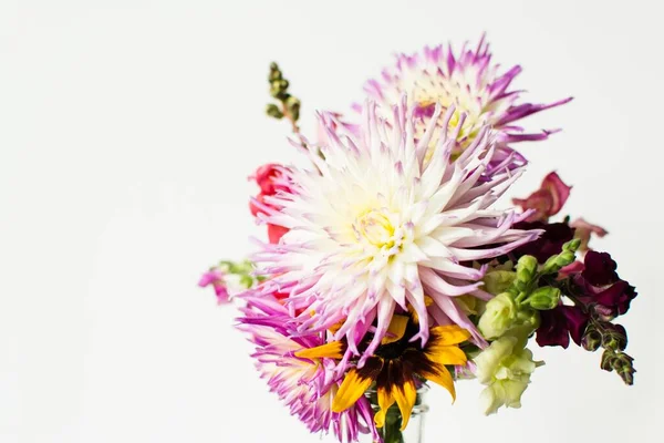 Аранжування Садових Квітів Включаючи Жоржини Дротики — стокове фото