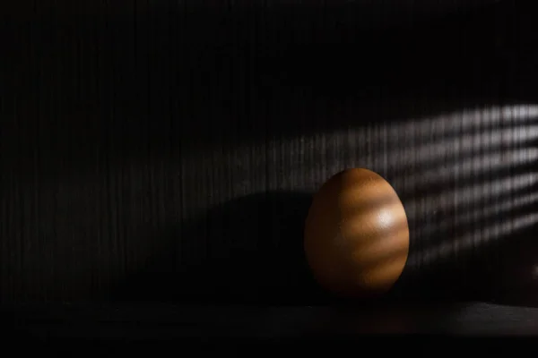Egg Shelf Shadow — Stock Photo, Image