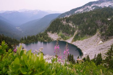 Pct boyunca ağaçlar ve granit kayalarla çevrili Alp Gölü.