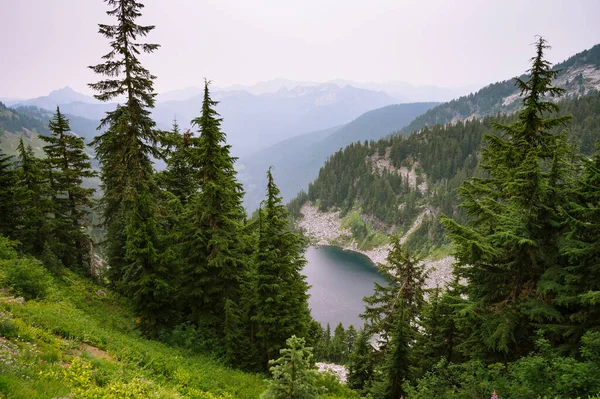 松に沿って木々や花崗岩の岩に囲まれた高山湖 — ストック写真