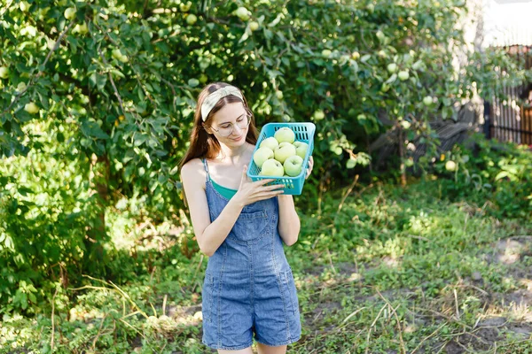 Junge Frau Hält Einen Korb Mit Reifen Äpfeln Garten — Stockfoto