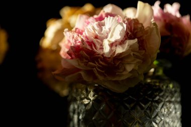 Flowers in a vase highlighted against dark background