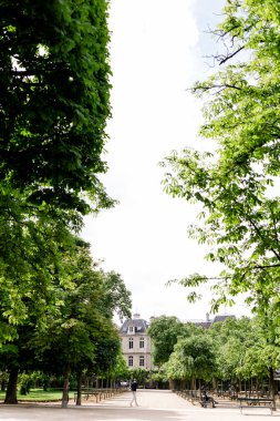 Paris 'teki Jardin du Lüksemburg' a bak