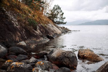 Rocky Shoreline with Calm Water and Trees