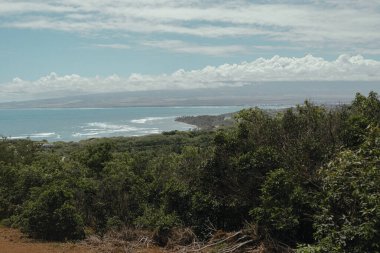 Lush coastline and ocean view from elevated forested area in Maui