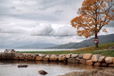 Ağaç ve Taş Duvarlı Sonbahar Lakeside Huzuru