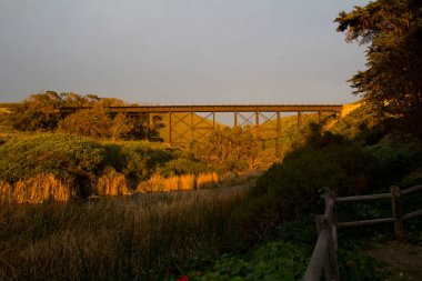 Kırsal demiryolu köprüsü, altın bitki örtüsü ve çitlerle çevrili nehir.