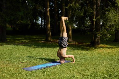 Huzurlu yeşil park ortamında yoga amuda kalkıyor.