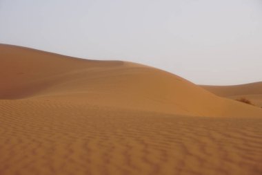 Sahra Çölü 'nde turuncu kum tepeleri