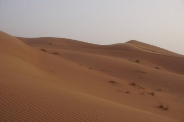 Sahra Çölü 'nde turuncu kum tepeleri