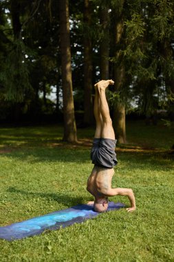 Orman parkında yoga yapan biri.