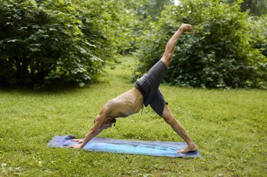 Güneşli bir günde yeşil bir parkta yoga antrenmanı.