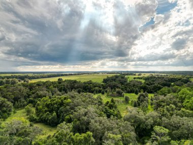 Çayırda güneş parlıyor..