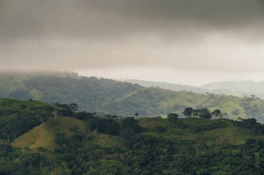 Monteverde, Kosta Rika 'dan Misty Hills