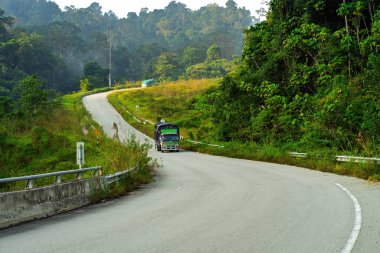 Yoldaki kamyon yağmur ormanlarıyla çevrili..