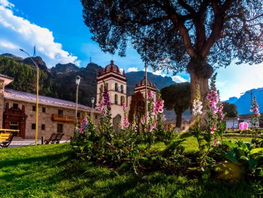 Huancavelic şehrinin ana meydanında yetişen yapraklı ağaç.